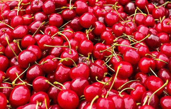 Cherries are known to reduce inflammation due to their nutrient properties