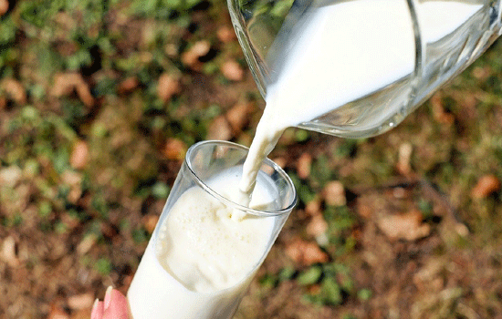 dairy Milk