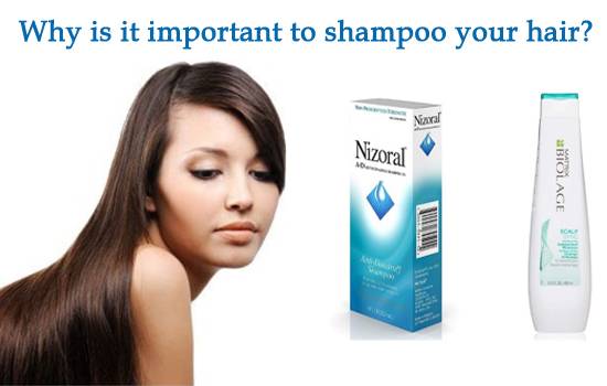 why is it important to shampoo your hair